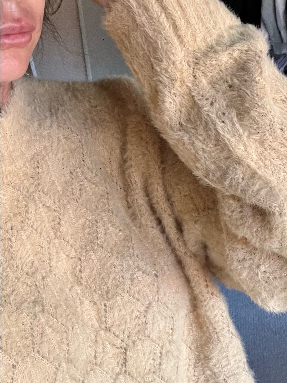 Love Tree Fuzzy Crewneck Sweater in Beige